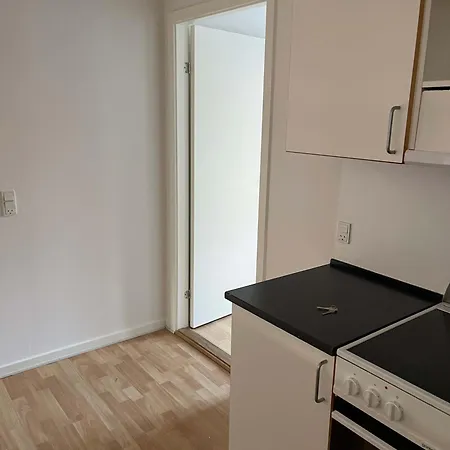 Exclusive 1br - Newly Renovated הורסנס
